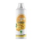 Энергетик Nature Foods Guarana concentrate 500 мл